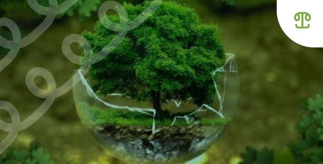 Dokumen AMDAL: Jenis-Jenis dan Fungsinya dalam Proyek Pembangunan