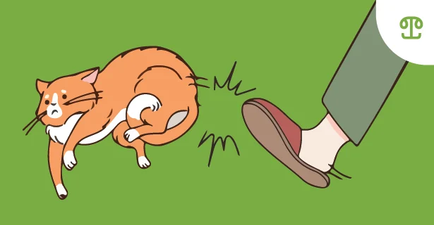 Memahami Animal Abuse di Indonesia dan Upaya Penegakan Hukumnya