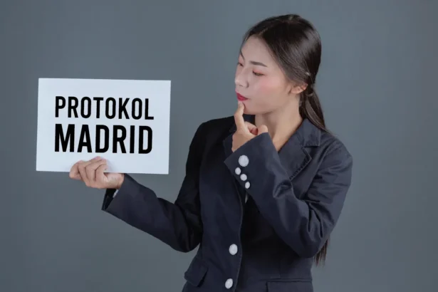 protokol madrid