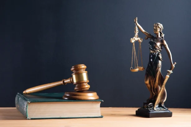 putusan pengadilan berdasarkan sifatnya dan sistem hukum dunia