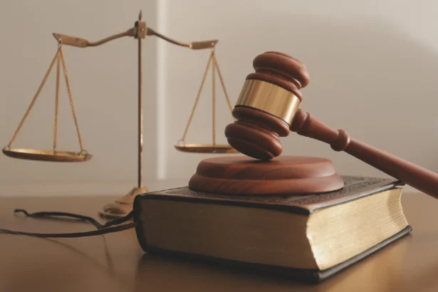 judex fectie judex juris