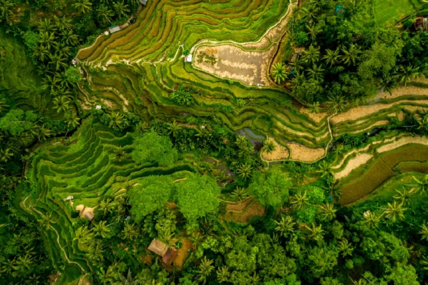 penyelesaian sengketa lingkungan