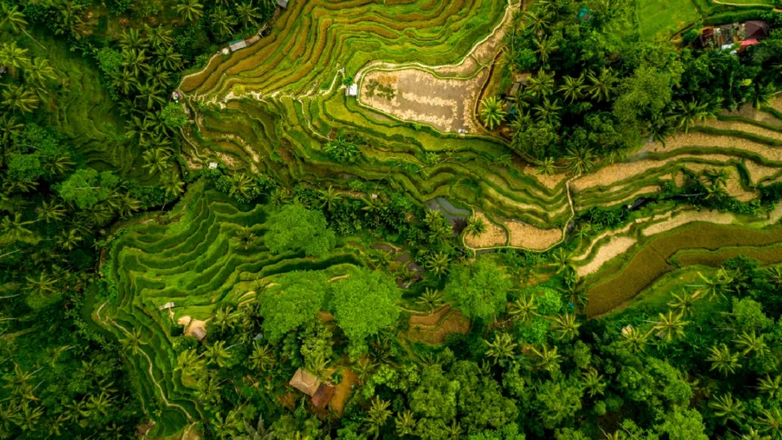 penyelesaian sengketa lingkungan